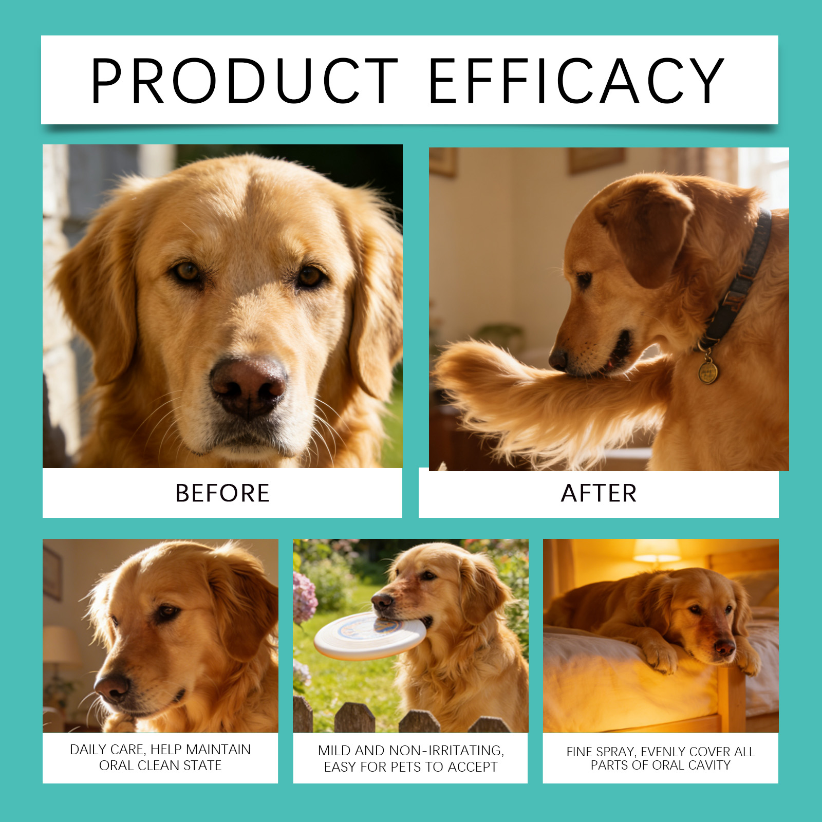 Pet Oral Care Spray for Bad Br - Teeth Whitening Mouthwash recension och pris