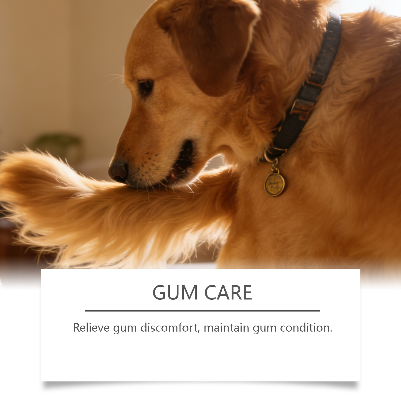 Pet Oral Care Spray for Bad Br - Teeth Whitening Mouthwash recension och pris