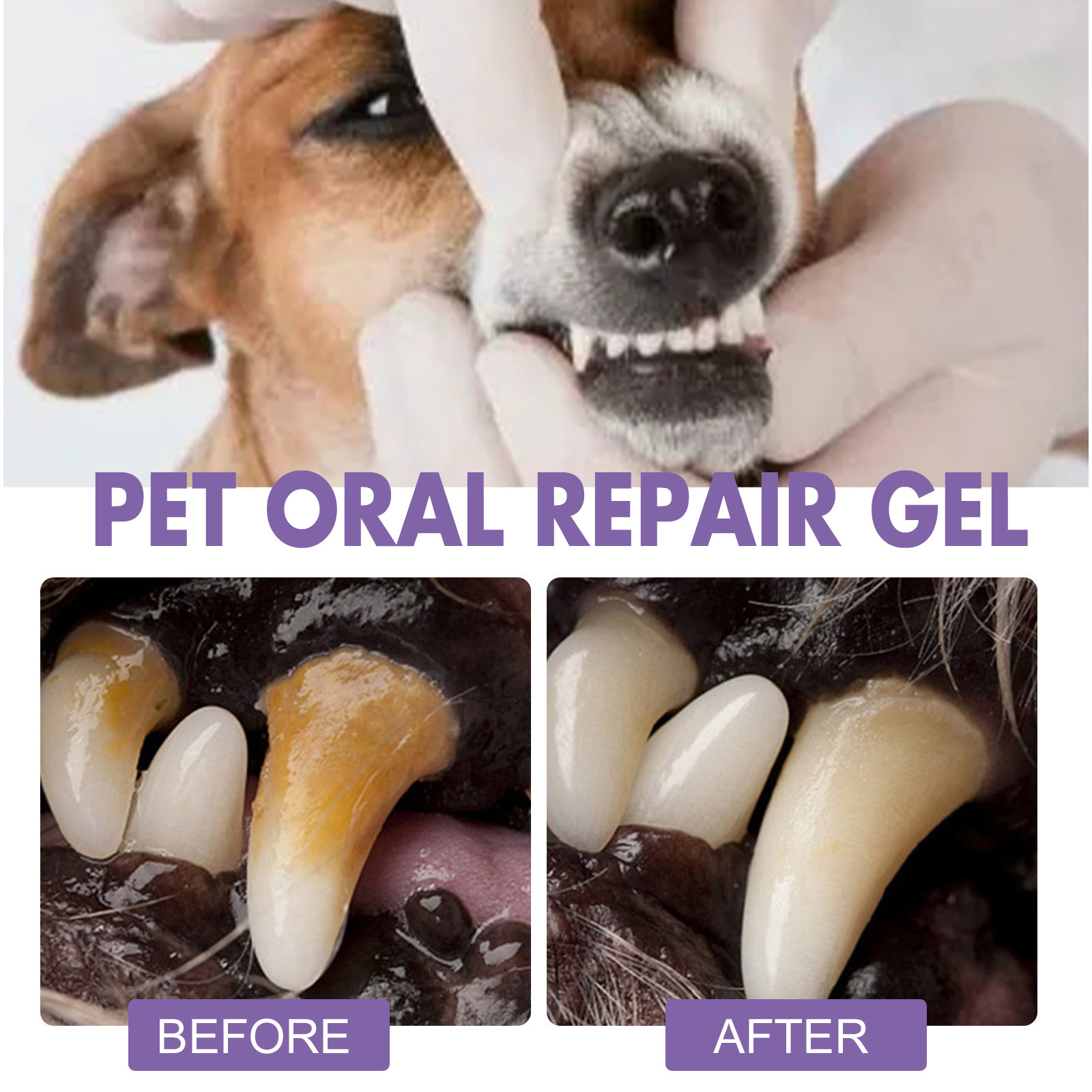 Pet Oral Repair Gel Puppy Tart - Teeth Whitening Gum recension och pris